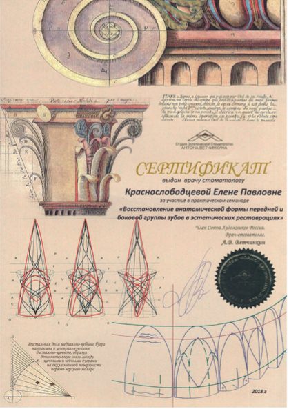 Сертификат врача Краснослободцева Елена Павловна №17