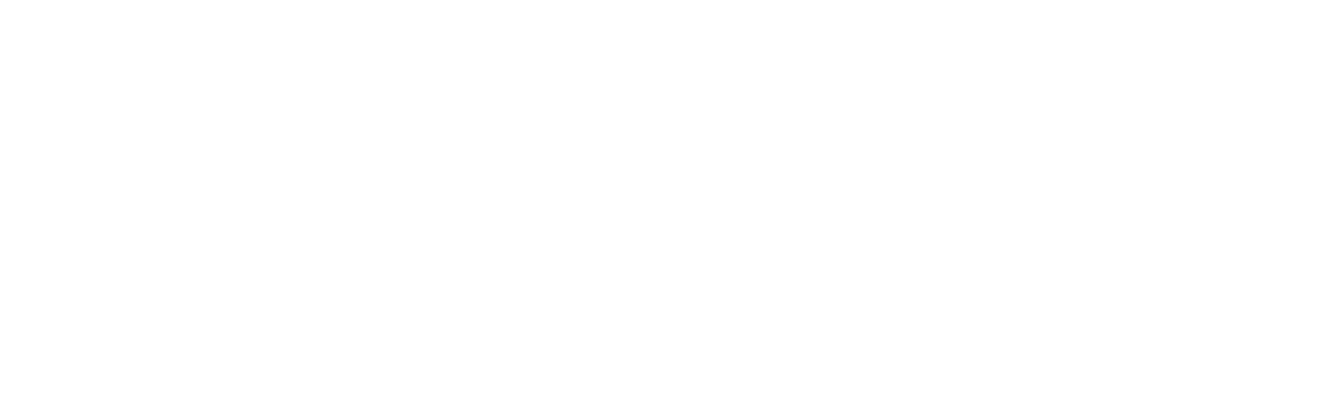 Articon Dental Digital Solutions